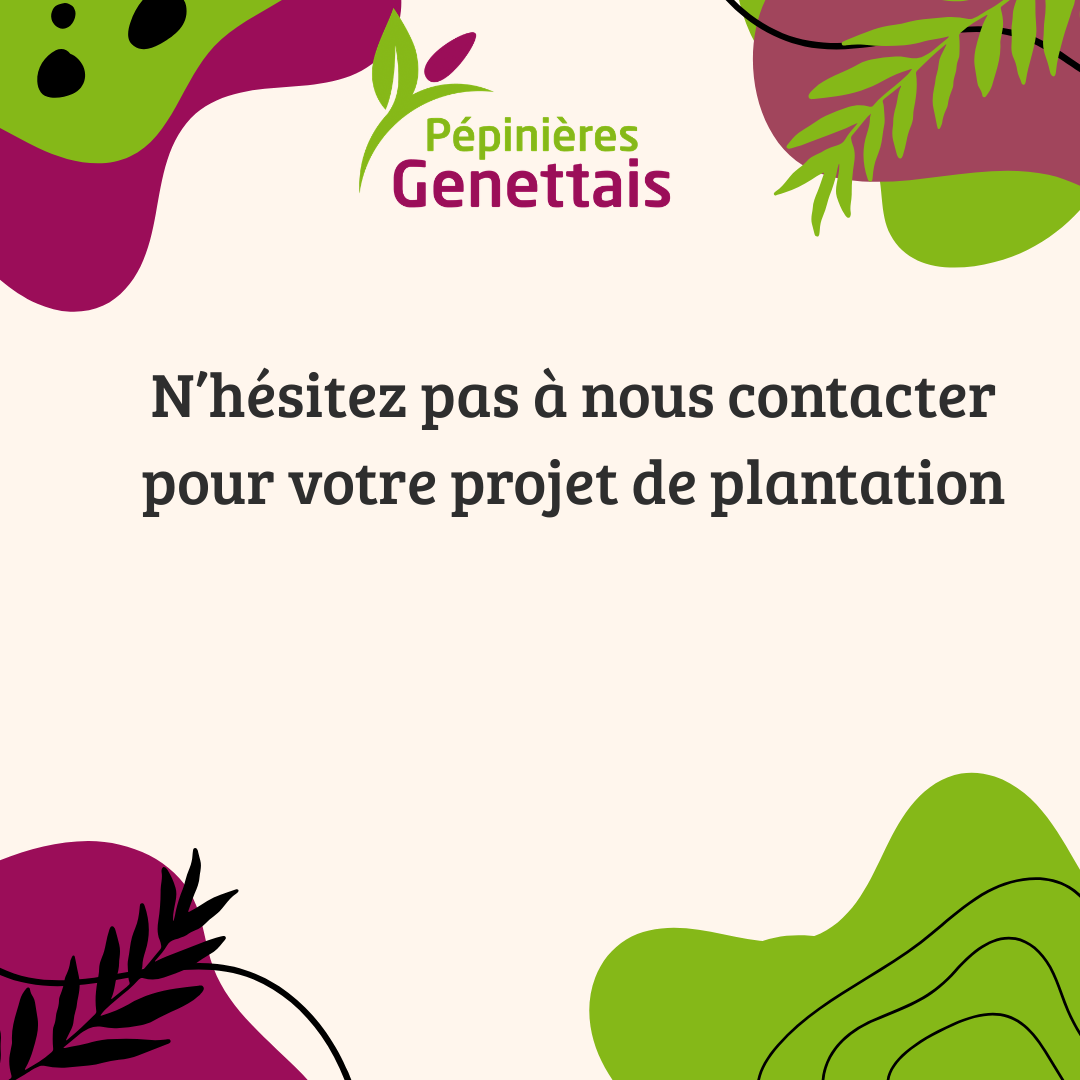 Suivez-nous sur Instagram